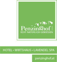 Hotel Oberndorf St. Johann Penzinghof