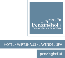 Hotel Oberndorf St. Johann Penzinghof